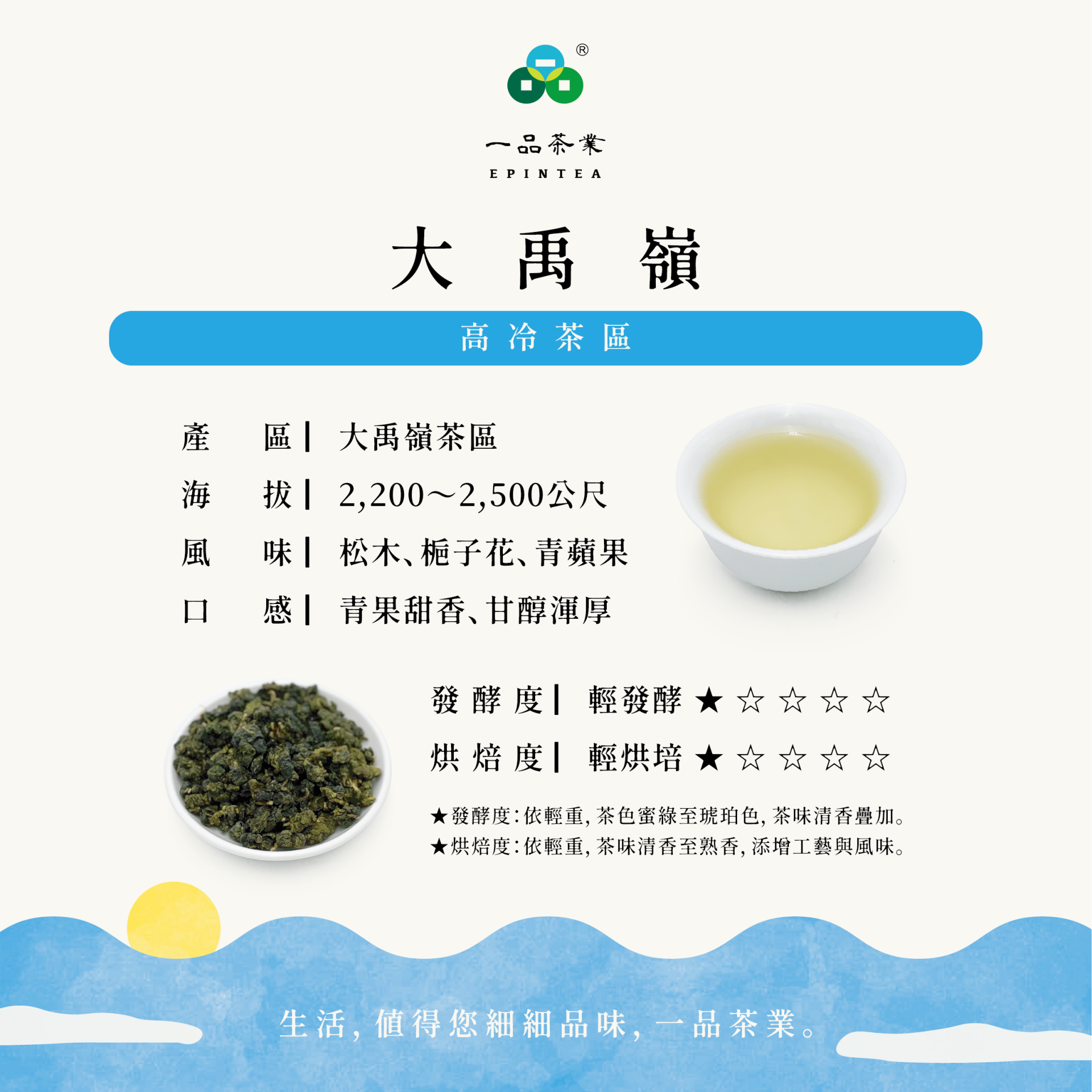 高冷茶區_大禹嶺1